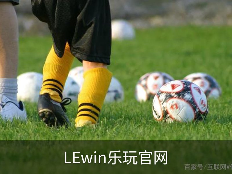 关于LEwin乐玩官网